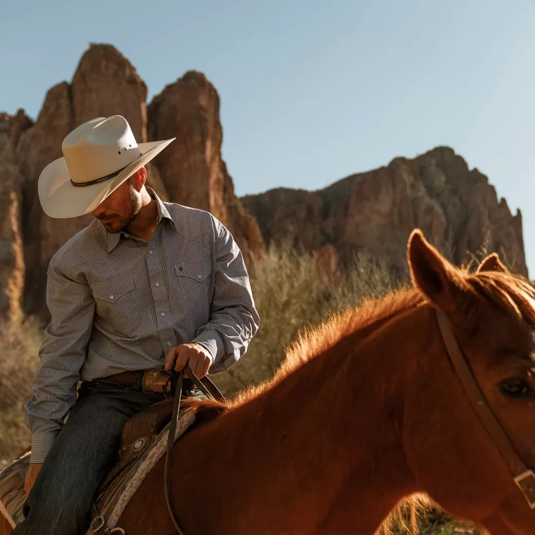 Deco Geo Print Western Shirt | Stetson Store