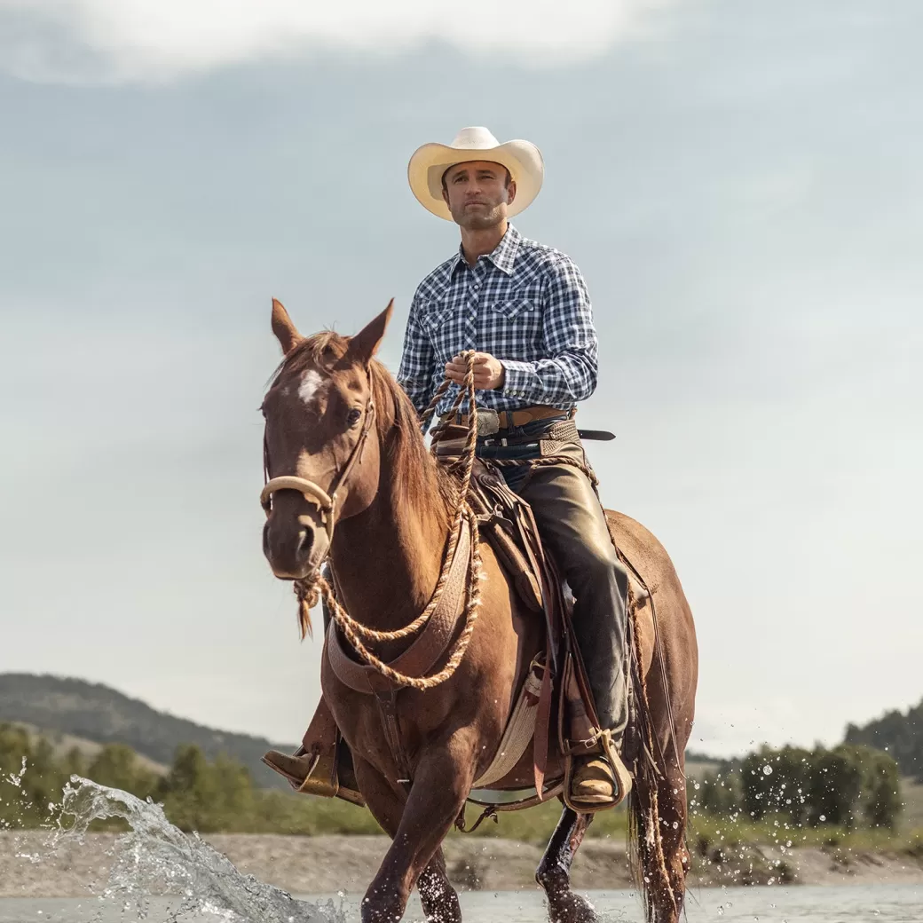 Plaid Twill Dobby Western Shirt | Stetson Sale